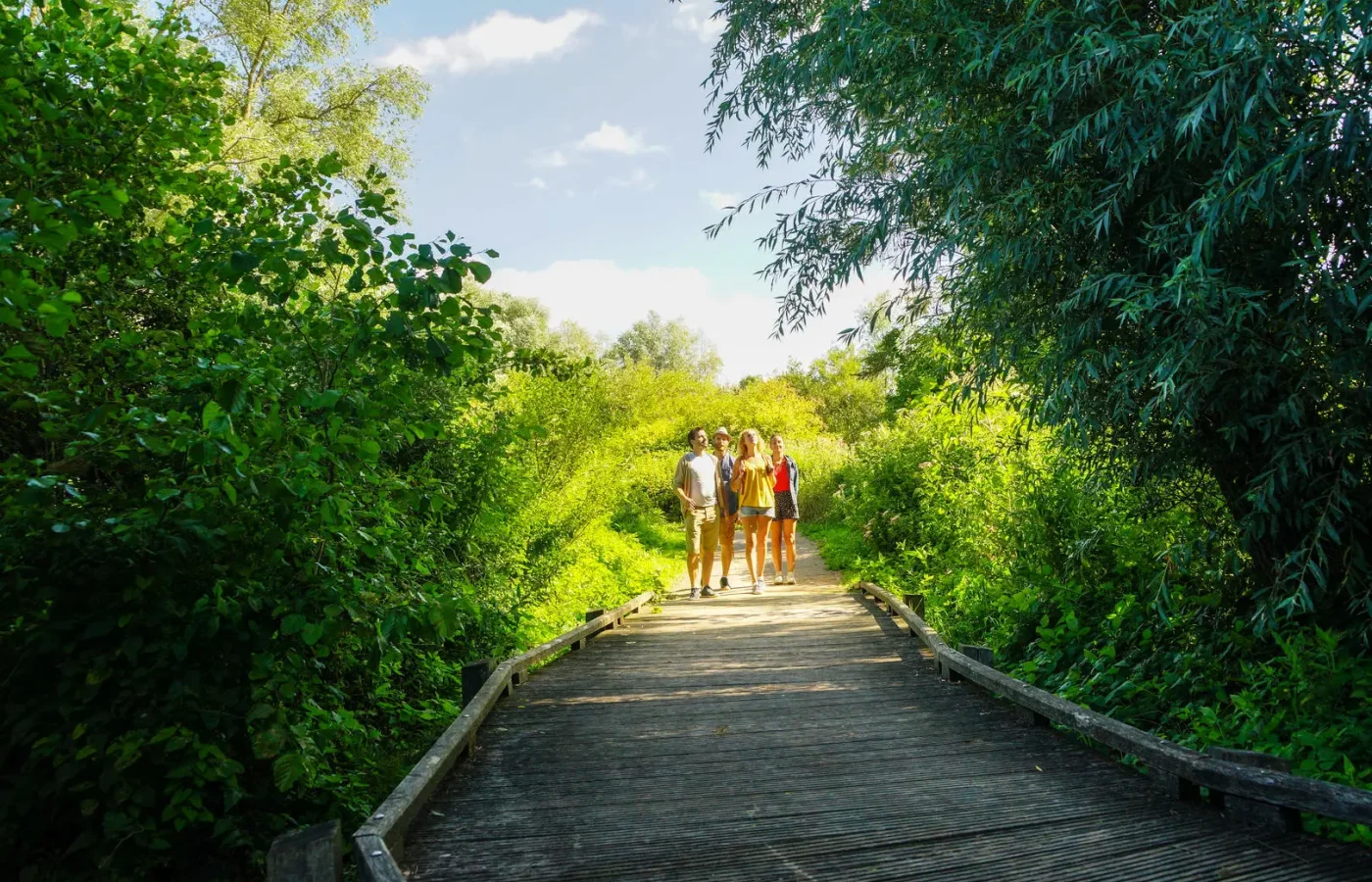 Famille marchant sur une passerelle en bois entourée de verdure luxuriante